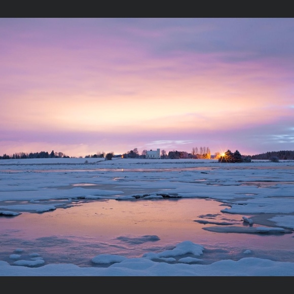 Meet your Posher, Suzanne - Picture 1 of 1